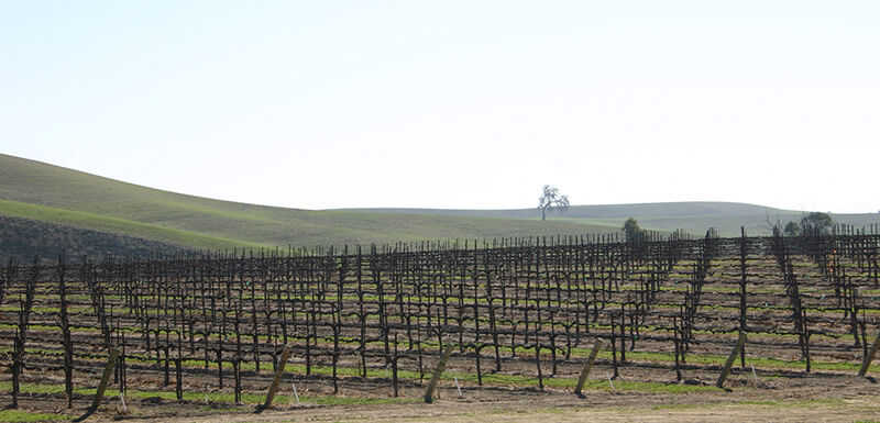 Villa San Juliette Winery Architecture