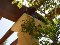 Villa San-Juliette Winery