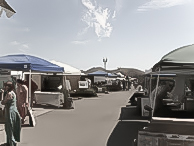 Alex Madonna 2009 Home Show